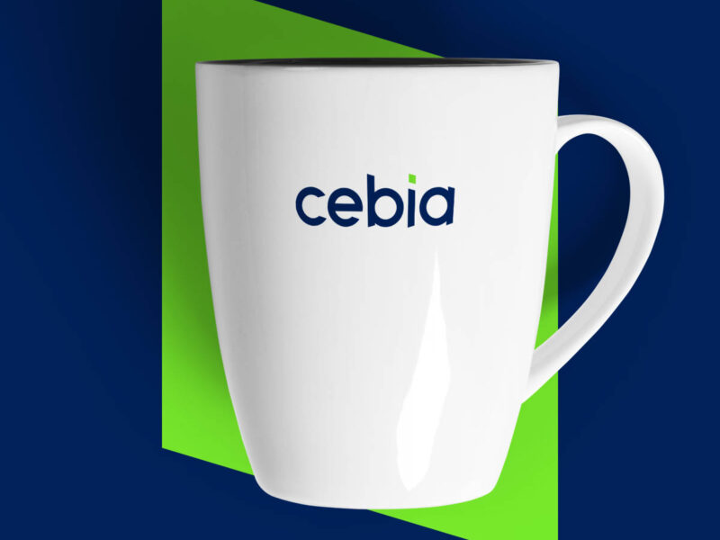 CEBIA - Vstupná prehliadka havarijného poistenia VINFOTO ✔️